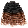 T1B-30 Ombre Brazilian Hair Deep Wave 100% Remy Human Hair Weave Bundles